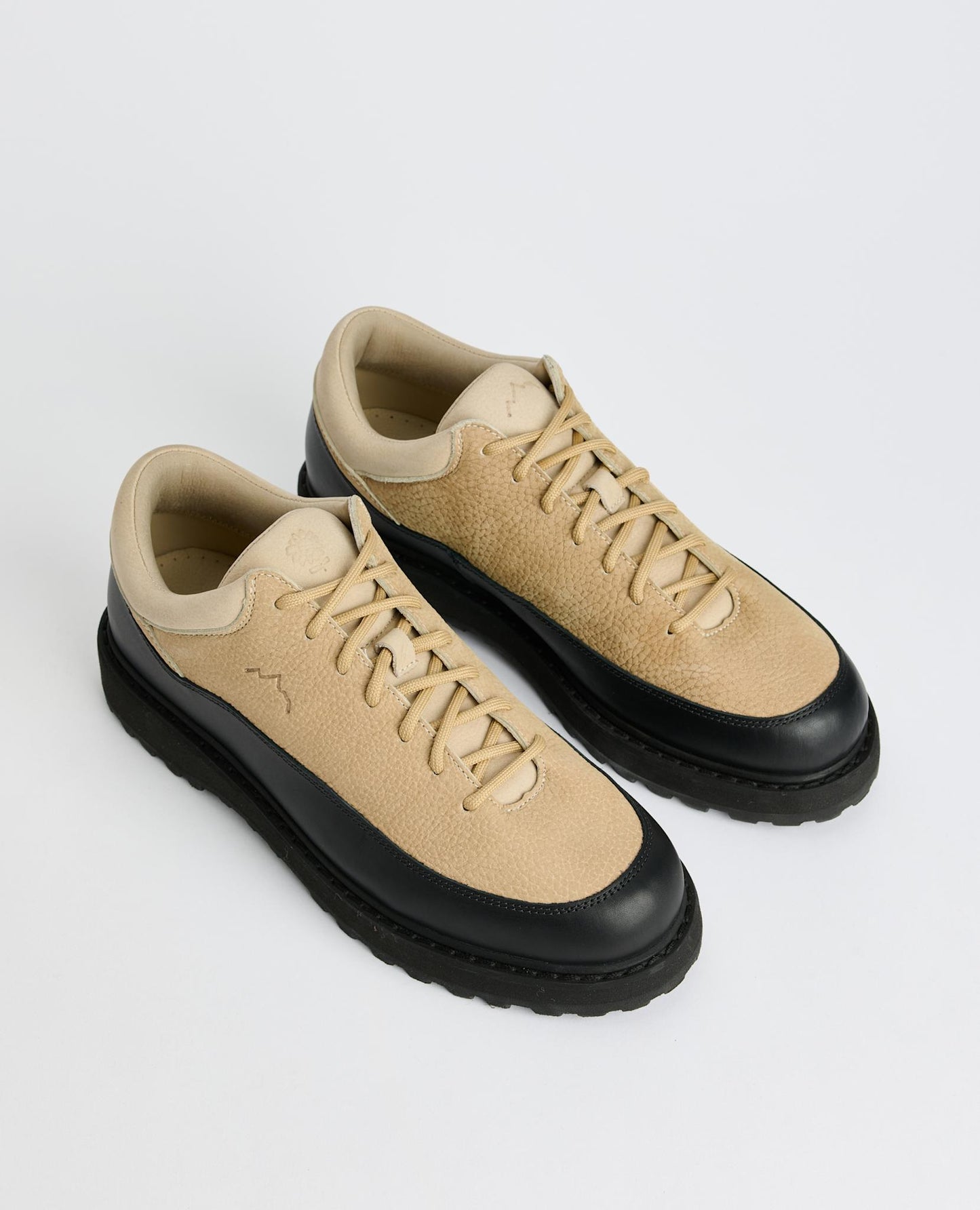 CORNARO DIEMME x SUNFLOWER