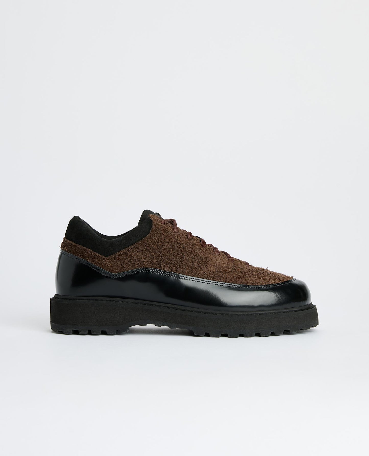 CORNARO DIEMME x SUNFLOWER
